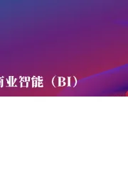 大数据时代的商业智能（BI）