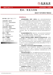 2020年宏观策略中期报告：宽松、恢复与风险