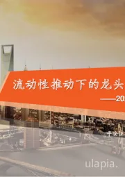 2020年下半年资本市场展望：流动性推动下的龙头和新兴溢价时代