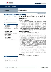 行业比较专刊：资源品景气全面回升，中游行业持续向好