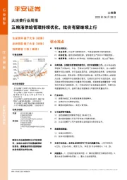 大消费行业周报：五粮液供给管理持续优化，批价有望继续上行