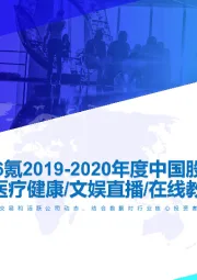 2019-2020年度中国股权投资市场暨企业服务医疗健康文娱直播在线教育投融资报告