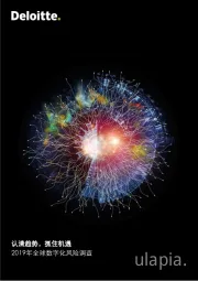 2019年全球数字化风险调查：认清趋势，抓住机遇