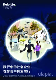 2020德勤全球人力资本趋势报告：践行中的社会企业：在悖论中探索前行