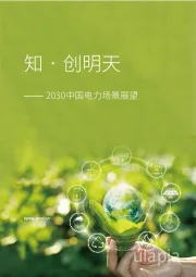 知•创明天：2030中国电力场景展望