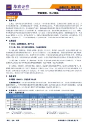 策略日报：宽幅震荡，弱化风险