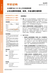 大消费行业2020年上半年数据观察：必选消费表现稳健，耐用、升级消费仍需观察