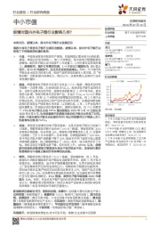 中小市值行业研究周报：疫情对国内外电子烟行业影响几何？