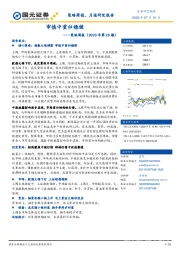 策略周报（2020年第28期）：审慎中重归稳健