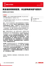 策略点评报告：黄金逢回调继续配置，关注家电板块景气度回升-周期轮动系列报告