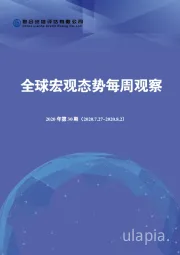 全球宏观态势每周观察（2020年第30期）