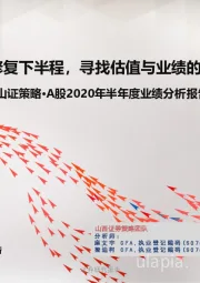 山证策略·A股2020年半年度业绩分析报告：经济修复下半程，寻找估值与业绩的新平衡