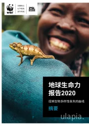 地球生命力报告2020：扭转生物多样性丧失的曲线