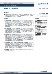 策略点评：振幅扩宽，短期积极