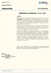 指数风险评估月报：风格拥挤度视角下的 A 股指数风险评估（2020年11月期）