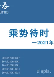 2021年度投资策略：乘势待时