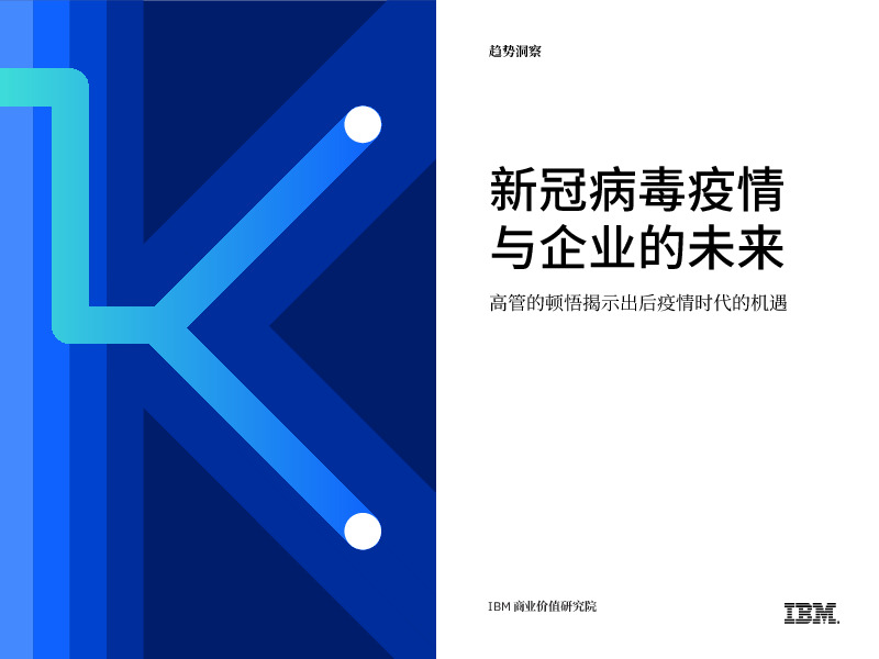 高管的顿悟揭示出后疫情时代的机遇：新冠病毒疫情与企业的未来