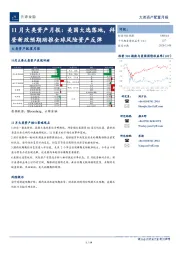 11月大类资产月报：美国大选落地，拜登新政预期助推全球风险资产反弹