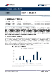 2020年11月策略月报：全球需求与中国供给