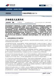市场思考随笔之五十三：多维梯度式发展阶段