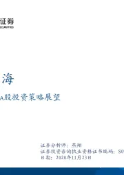 2021年A股投资策略展望：龙头出海