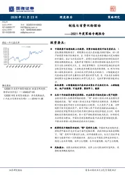 2021年度策略专题报告：制造与消费双轮驱动