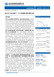 策略专题报告：3800 点目标实现中，12月继续配置周期和成长