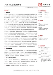 川财月度金股系列报告：川财12月金股组合