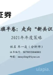 2021年年度策略：红旗半卷：走向“新共识”