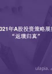 2021年A股投资策略展望：“返璞归真”