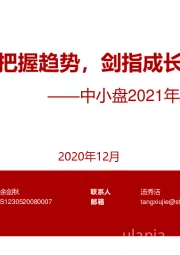 中小盘2021年度投资策略：把握趋势，剑指成长