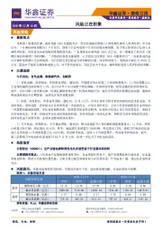 策略日报：风险正在积聚