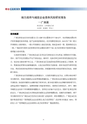 地方政府与城投企业债务风险研究报告--广西篇