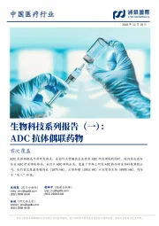 生物科技系列报告（一）：ADC抗体偶联药物