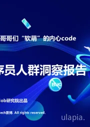 2020程序员人群洞察报告：带你走进小哥哥们“软萌”的内心code