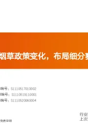 中小市值：重点关注新型烟草政策变化，布局细分赛道“隐形冠军”