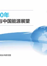 2050年世界与中国能源展望（2020版）