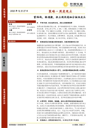 策略·周度观点：重结构，轻指数，抓主线优选细分板块龙头