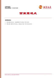 西南周观点