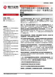 2021年家电行业策略：白电强者恒强，小家电扬帆起航