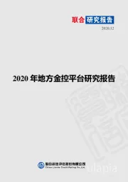 2020年地方金控平台研究报告