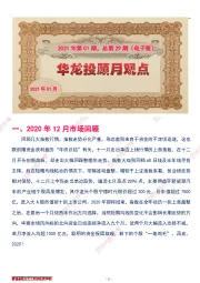 华龙投顾月观点2021年第1期,总第29期(电子版)
