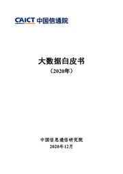 大数据白皮书（2020年）
