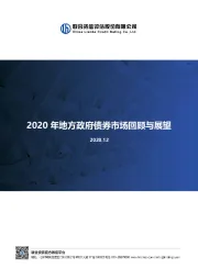 2020年地方政府债券市场回顾与展望