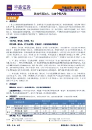 策略日报：波动明显加大，注意个股风险