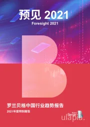 2021年度特别报告：罗兰贝格中国行业趋势报告