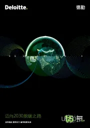 能源：迈向2030脱碳之路