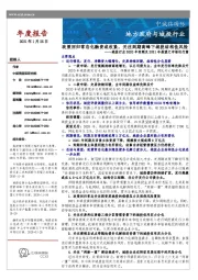 城投行业2020年回顾及2021年展望之市场运行篇：政策回归常态化融资或收紧，关注到期高峰下城投结构性风险