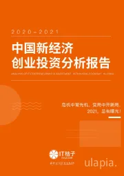 2020-2021中国新经济创业投资分析报告