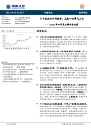 2020年四季度业绩预告观察：小市值企业利润激增，成长行业景气占优